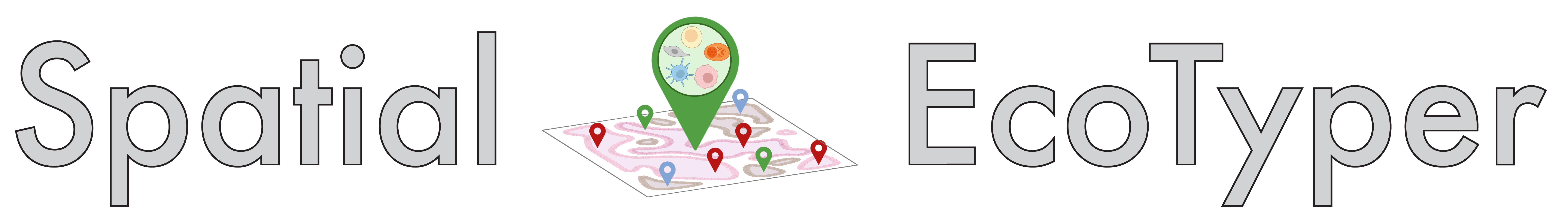 Spatial EcoTyper